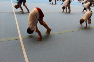 IMG 0593